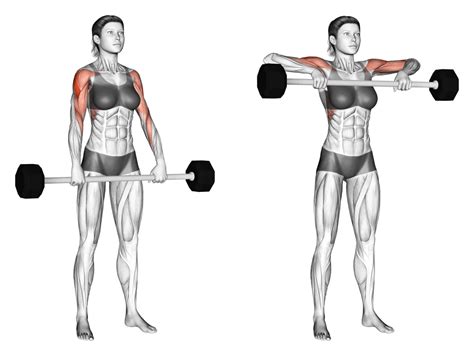 Upright Barbell Row: How To Do, Muscle Worked & Benefits