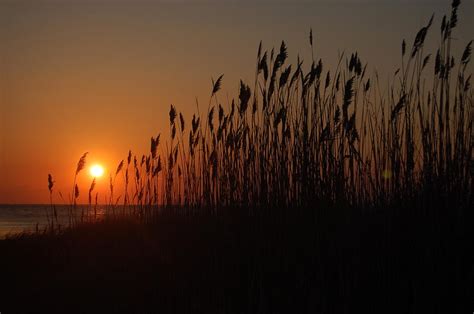 Cape May Point Sunset Photograph by Matt Heintz - Fine Art America