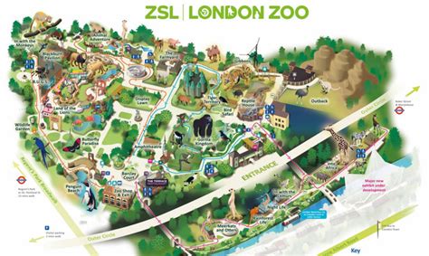 London Zoo - Zoo Nights | See the Zoo In A Whole New Light - Zoo Nights ...