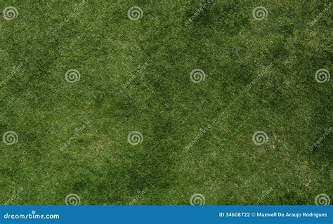 Grass texture of football stock photo. Image of football - 34608722