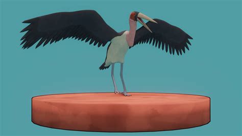 Marabou Stork by GabiPaleo on DeviantArt