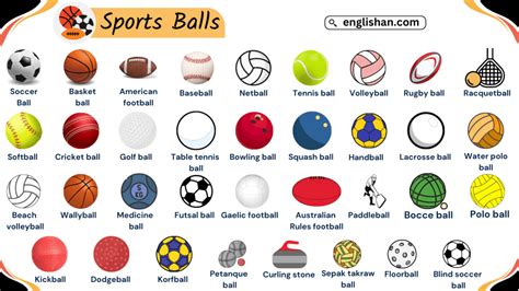 Types of Balls: Visual Guide for Easy Identification • Englishan