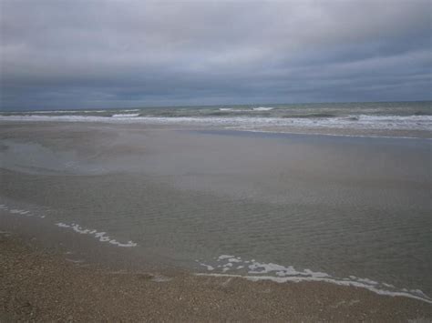 Beach at Merritt Island. #beaches #nature | Instagram, Beach, Merritt ...