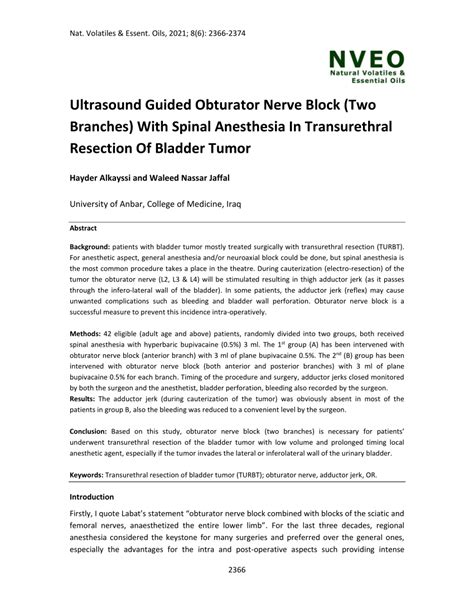 (PDF) Ultrasound Guided Obturator Nerve Block (Two Branches) With ...