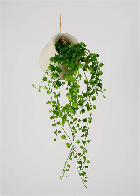Hanging Plant (45cm) – Green | Hanging plants, Hanging plant wall, Artificial hanging plants