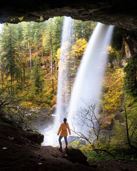 2024 Guide to North Falls, Oregon in Silver Falls State Park ⋆ We Dream ...