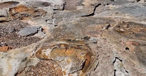 Where to find dinosaur footprints in Broome - best place