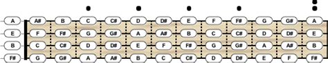 Double Bass Tuning - Chord Scale Generator