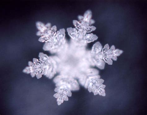 Water Crystals and Masaru Emoto | mymovingstills