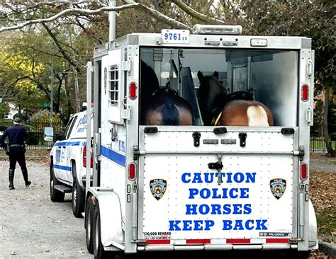 Off-Duty Horses | Crocheron Park Bayside, New York | Jim Griffin | Flickr