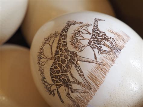 Scrimshaw ostrich eggs, or just plain ostrich eggs - we have them. | Scrimshaw, Art decor, Handcraft