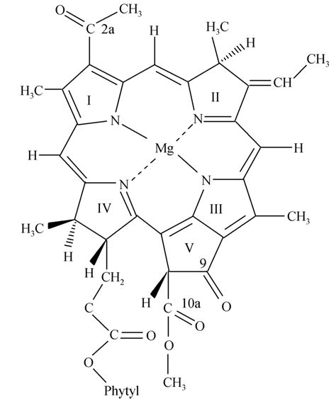 Structure of bacteriochlorophyll b. | Download Scientific Diagram