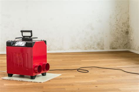 How Long Should I Run A Dehumidifier After A Water Leak? | Water Damage ...