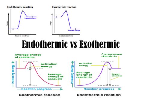 (PDF) Endothermic vs Exothermic | Sonny Charbonnet - Academia.edu