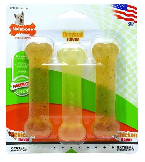 nylabone chew toy new dog essentials | Leah Ingram