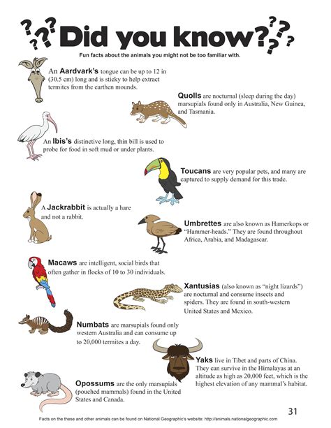 Facts About Animals For Kids