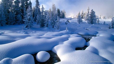 Yellowstone Winter Wallpapers - Top Free Yellowstone Winter Backgrounds ...