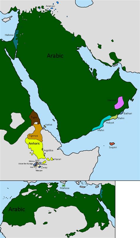 Current Semitic Languages in the World Mapped - Vivid Maps