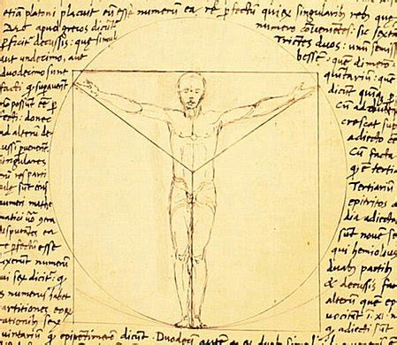 Vitruvian Man - Wikiwand