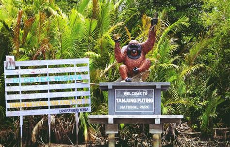 Perlindungan Flora Dan Fauna / Kerusakan Flora Dan Fauna Dampaknya Upaya Pelestariannya / Jika ...