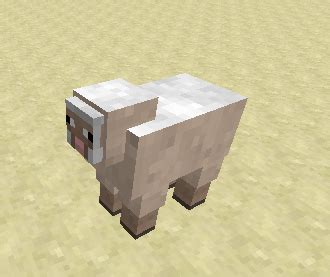 Rainbow Sheep Minecraft Skin