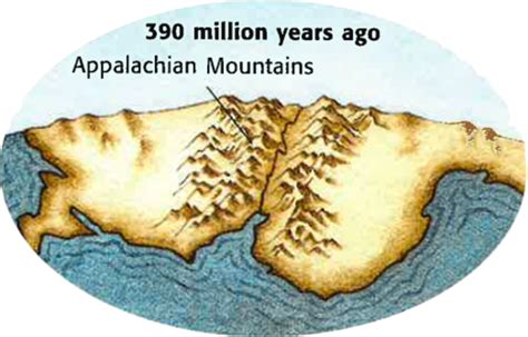 Earth's History timeline | Timetoast timelines