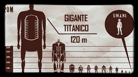 Attack On Titan Size Comparison 2020 – Otosection