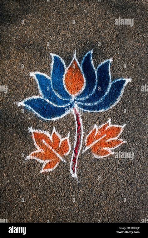 Incredible Compilation of Flower Rangoli Images - Extensive Collection of Over 999 Flower ...