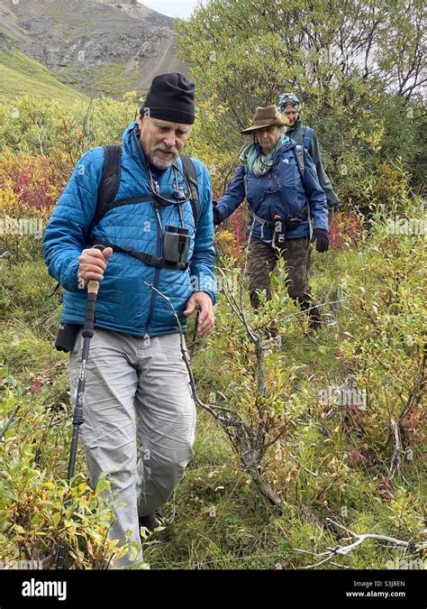 Hiking in the wilderness of Denali national Park Alaska Stock Photo - Alamy