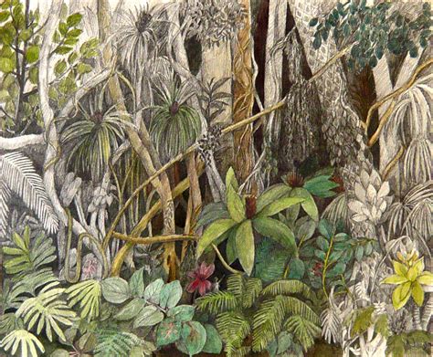 Jungle Pencil Drawing at GetDrawings | Free download