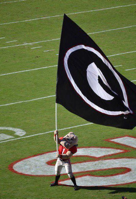 Georgia mascot Hairy Dawg raises the battle flag of the Bulldog Nation ...