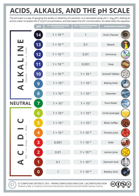 Acids, Alkalis, and the pH Scale | Compound Interest