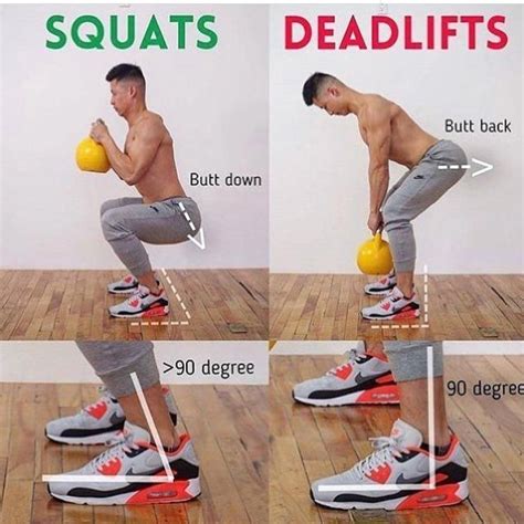 √ Deadlift Vs Squat Weight