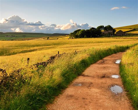 壁紙 田舎、イングランド、イギリス、フィールド、道路、草、風 1920x1200 無料のデスクトップの背景, 画像