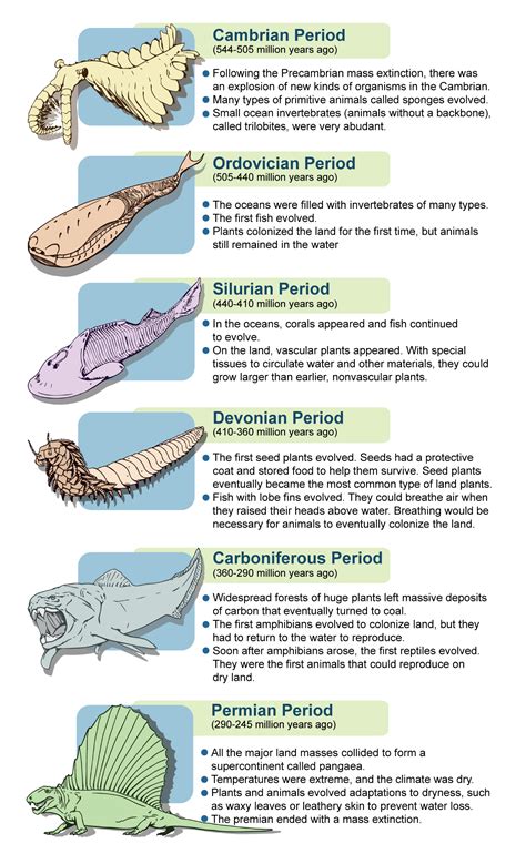 Devonian Animals - Devonian Fish Sidesteps Current Evolutionary Theory : The devonian period has ...