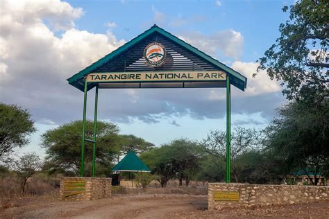 Tarangire National Park - Mawe Lodges