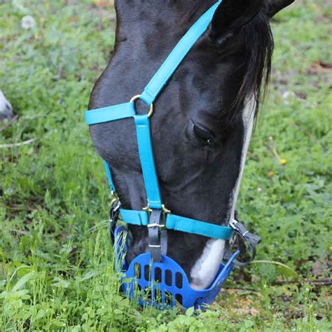 Greenguard Grazing Muzzle - Jojubi Saddlery