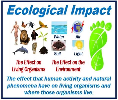 What is ecological impact? Definition and examples - Market Business News