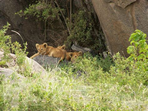 Serengeti National Park