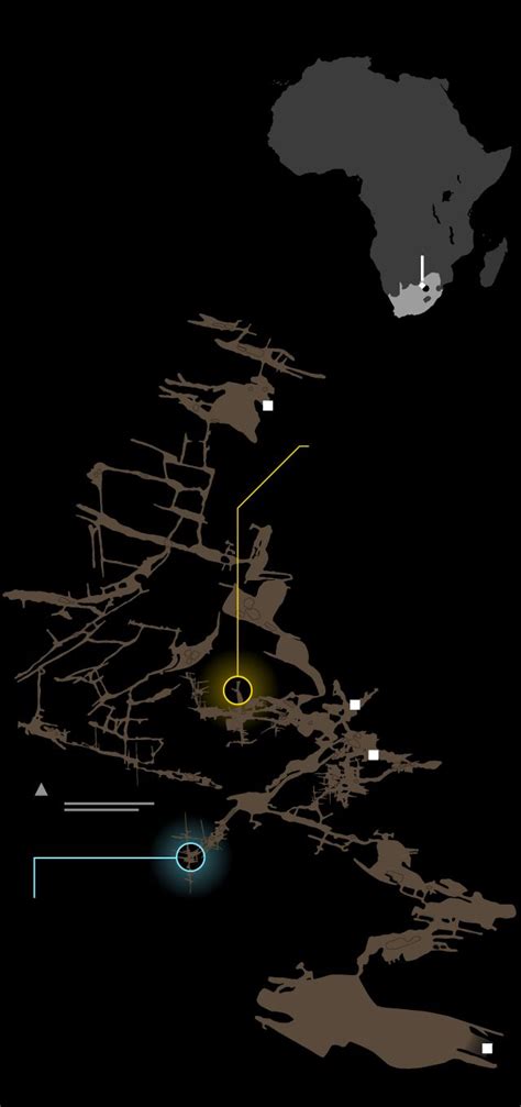 National Geographic | Human family tree, Evolution science, National ...