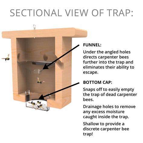 All Pine Carpenter Bee Box Trap - Best Bee Brothers