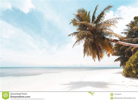 Tropical Beach in Seychelles Stock Photo - Image of exotic, mahacopy ...