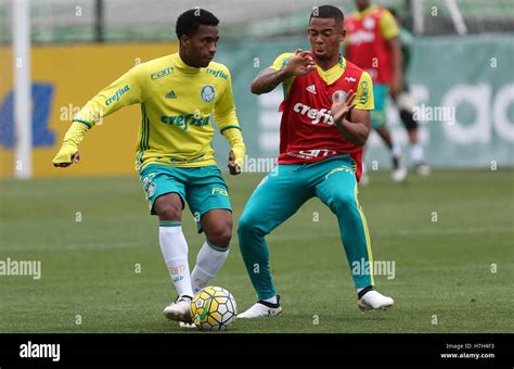 Sao Paulo, Brazil. 05th Nov, 2016. TREINO DO PALMEIRAS - Players ...