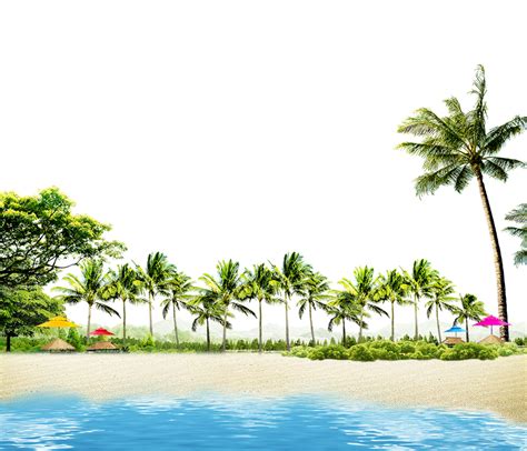 Coconut Tree Beach Summer Tropical Png White Transparent And Clipart | The Best Porn Website