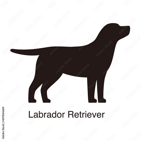 Labrador Retriever dog silhouette, side view, vector illustration Stock ...