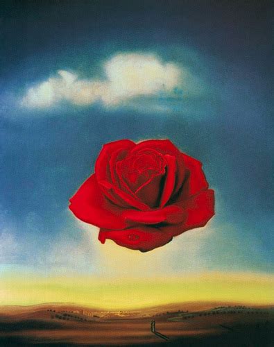 The Meditative Rose Art Print by Salvador Dali - WorldGallery.co.uk