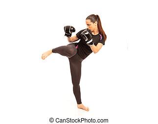 Karate high kick martial arts Stock Photo Images. 498 Karate high kick martial arts royalty free ...