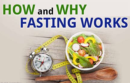 Fasting - Dr. Jason Fung interviewed by Low-Carb guy, Jimmy Moore - Diet Hobby