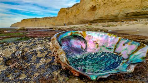 Sunset Cliffs Natural Park | Ocean Beach San Diego CA