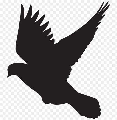 Free download | HD PNG Transparent flying dove silhouette png PNG Image ...